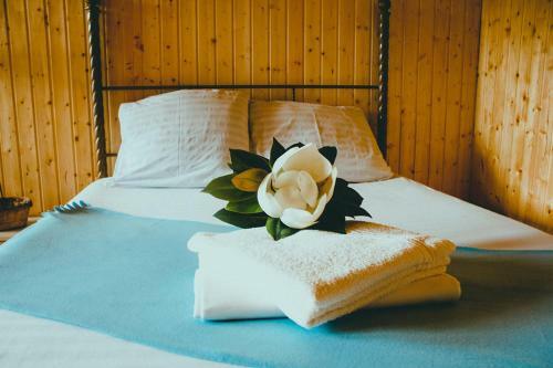 Hostal Guest House Vida