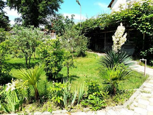 Hostal Guest House "d'plyaz"
