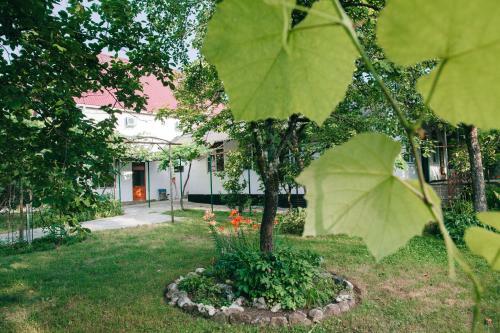 Hostal Guest House Domgrozde
