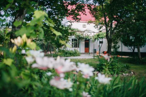 Hostal Guest House Domgrozde