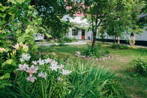 Hostal Guest House Domgrozde