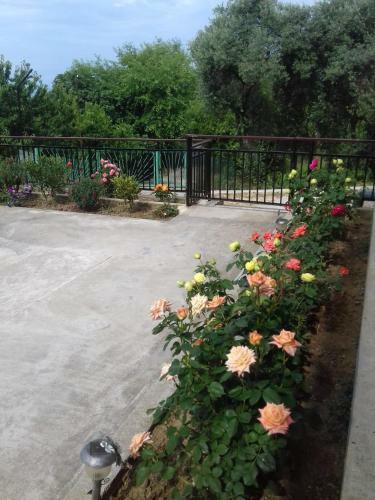 Hostal Guesthouse Aza&karlen