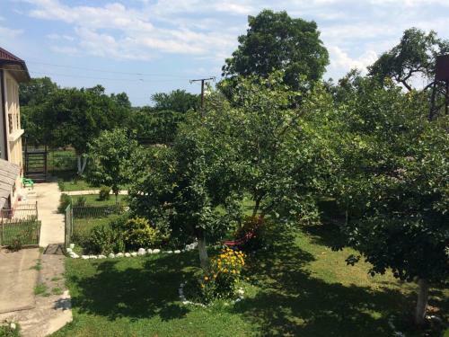 Hostal Guest House Mimoza