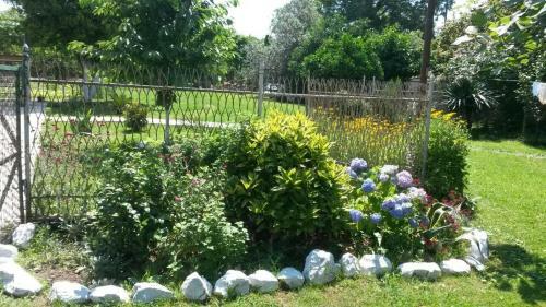 Hostal Guest House Mimoza