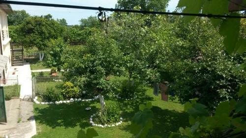 Hostal Guest House Mimoza