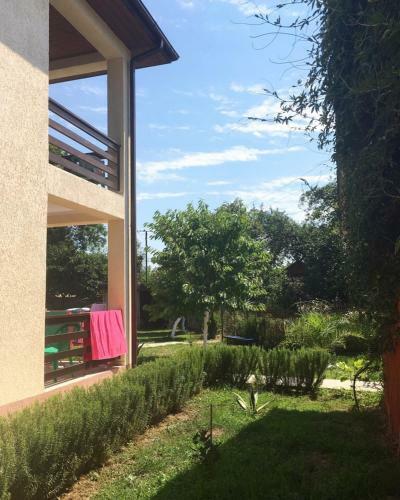 Hostal Guest House Mimoza
