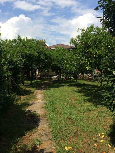 Hostal Guest House Mimoza
