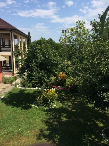 Hostal Guest House Mimoza