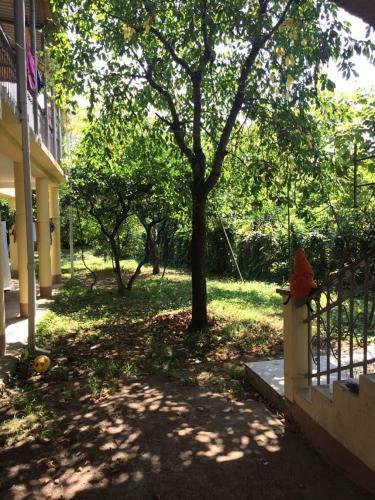 Hostal Guest House Mimoza