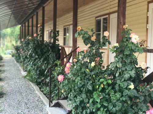 Hostal Guest House Mandarinhouse