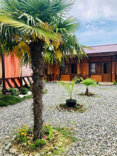 Hostal Guest House Kvazar