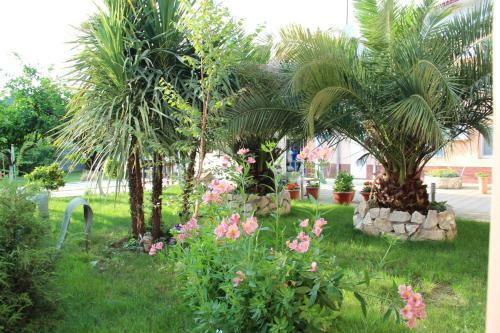 Hostal Guest House U Adama