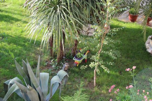 Hostal Guest House U Adama