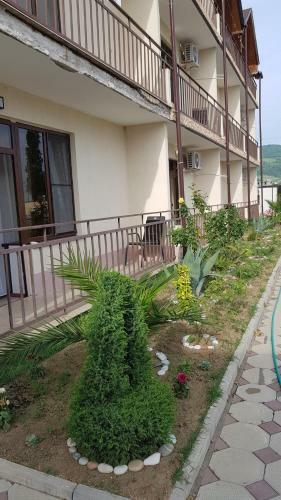 Hostal Residence Apsny