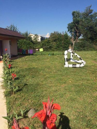 Hostal Guest House On Sayat-nova 7a