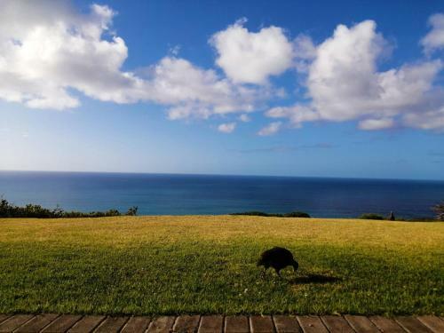 Hostal Dana Bay B&B Guest House