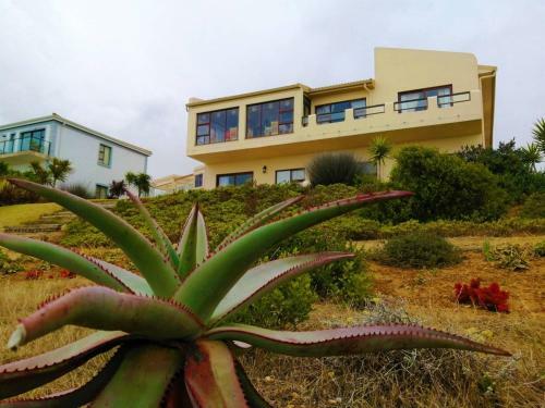 Hostal Dana Bay B&B Guest House