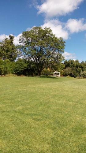 Hostal Mulberry Hill Guest House