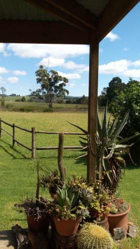 Hostal Mulberry Hill Guest House