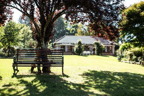 Bed & Breakfast Chikanka