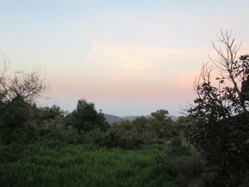 Milorho Lodge