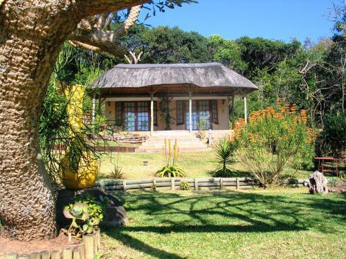 Palmcottage B&B