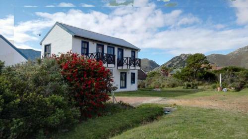 Hostal Pringle Bay Atrium