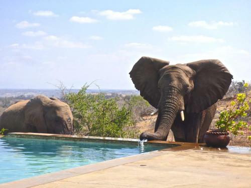 Mbizi Bush Lodge