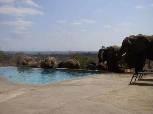 Mbizi Bush Lodge