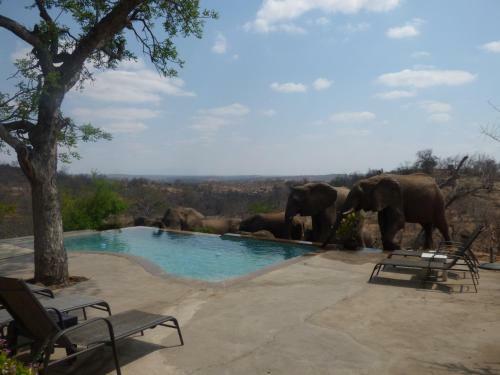 Mbizi Bush Lodge
