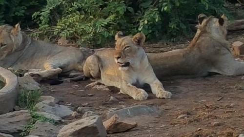 Muweti Bush Lodge