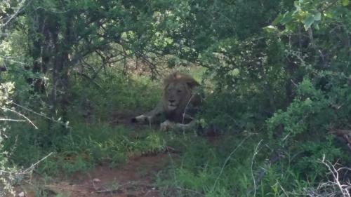 Muweti Bush Lodge