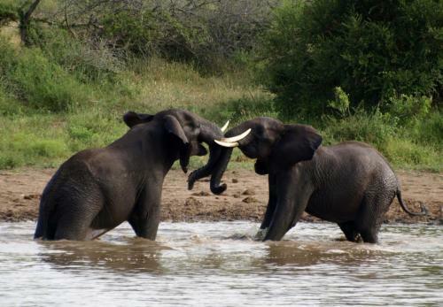 Inyanga Safari Lodge
