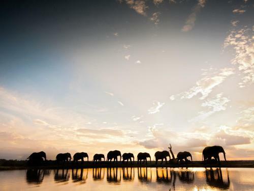 Lodge Jabulani Safari