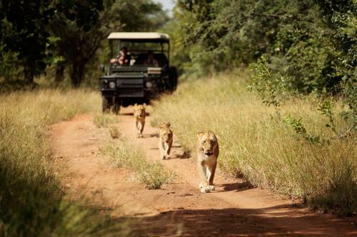 Lodge Jabulani Safari