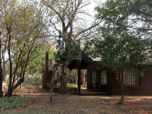 Burchell's Bush Lodge