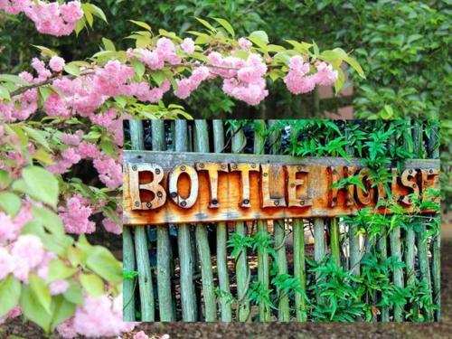 Lodge Sycamore Avenue Treehouses & Cottages Accommodation