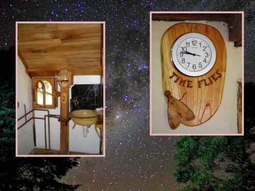 Lodge Sycamore Avenue Treehouses & Cottages Accommodation