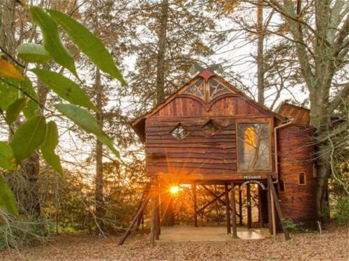 Lodge Sycamore Avenue Treehouses & Cottages Accommodation