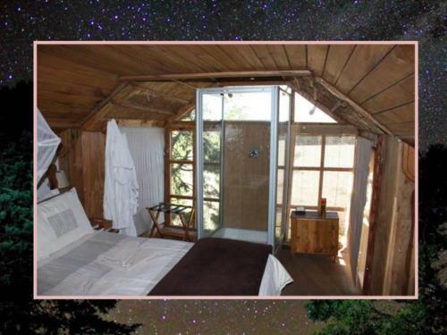 Lodge Sycamore Avenue Treehouses & Cottages Accommodation