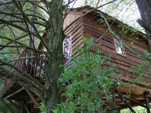 Lodge Sycamore Avenue Treehouses & Cottages Accommodation
