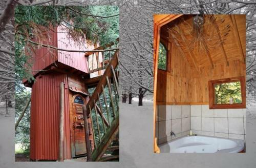Lodge Sycamore Avenue Treehouses & Cottages Accommodation