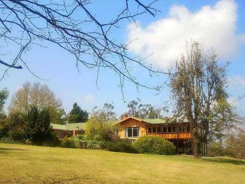 Lodge Sycamore Avenue Treehouses & Cottages Accommodation