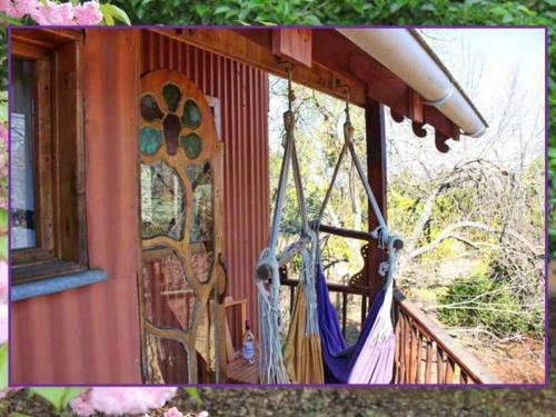 Lodge Sycamore Avenue Treehouses & Cottages Accommodation