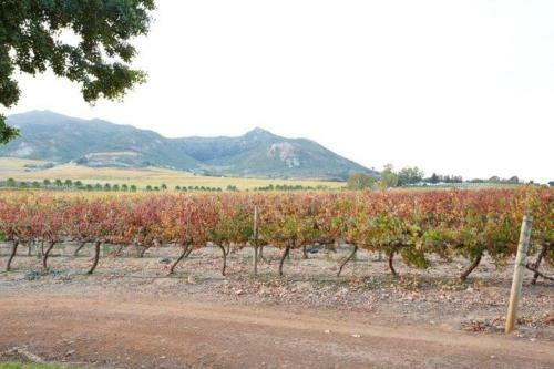 Agroturismo Moreson Guest Farm
