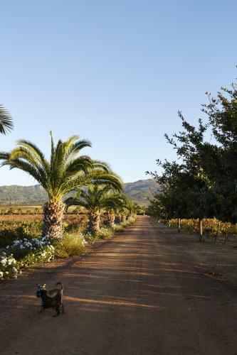 Agroturismo Moreson Guest Farm