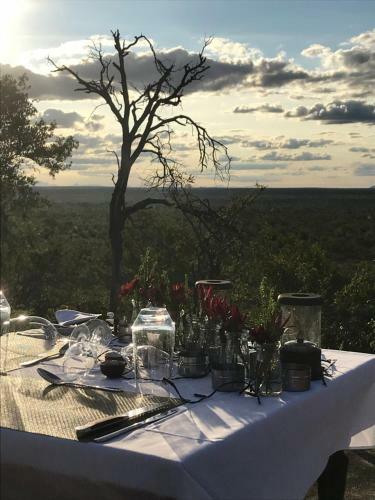 Lodge Misava Safari Camp - Klaserie Drift