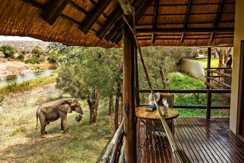 Nyati Safari Lodge