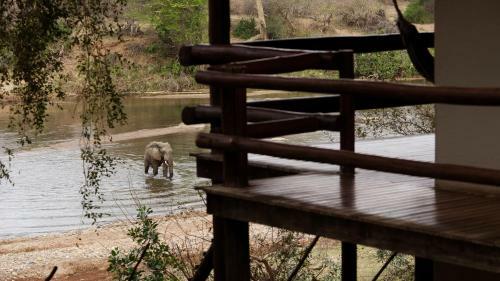 Nyati Safari Lodge
