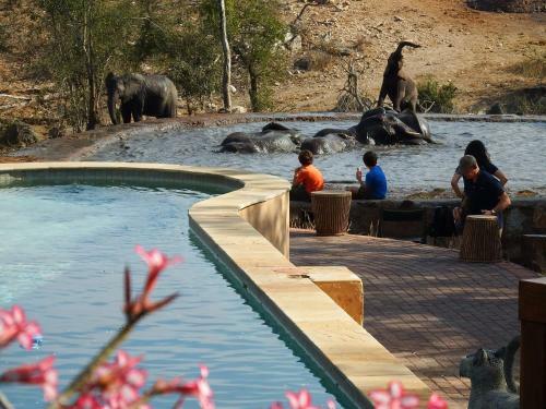 Lodge Ndzuti Safari Camp